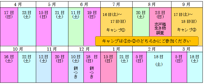 年間スケジュール